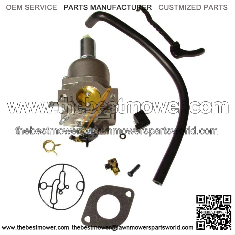 Carburetor Fits Briggs and Stratton 594593 591731 794572 796109 Craftsman mower