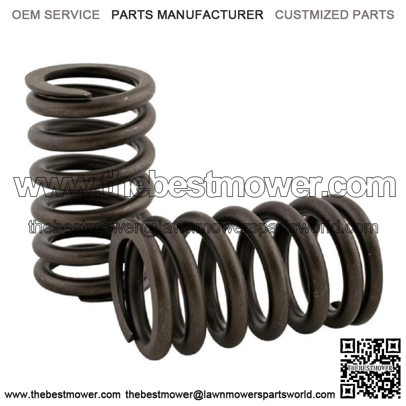 R-3900276 Valve Spring Fits Case-IH Tractor Models 1896 2096 5120