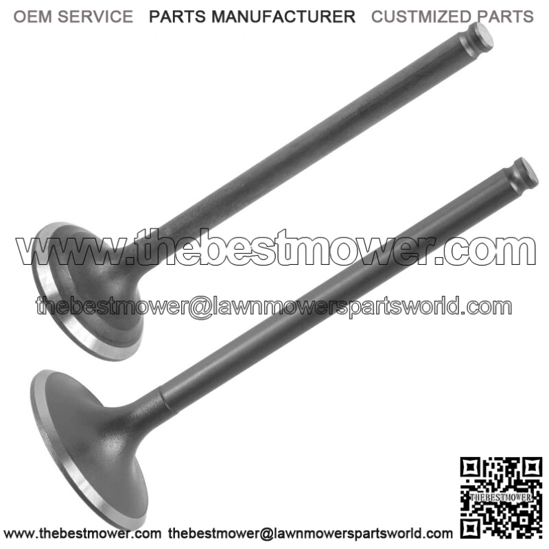 Exhaust & Intake Valve for Honda FourTrax 300 1988 1989 1990 1991 1992 1993-2000 (Fits: Honda)