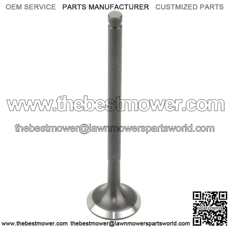 Exhaust Valve for Honda TRX300EX TRX300X Sportrax 300 2X4 1993-2009 (Fits: Honda)