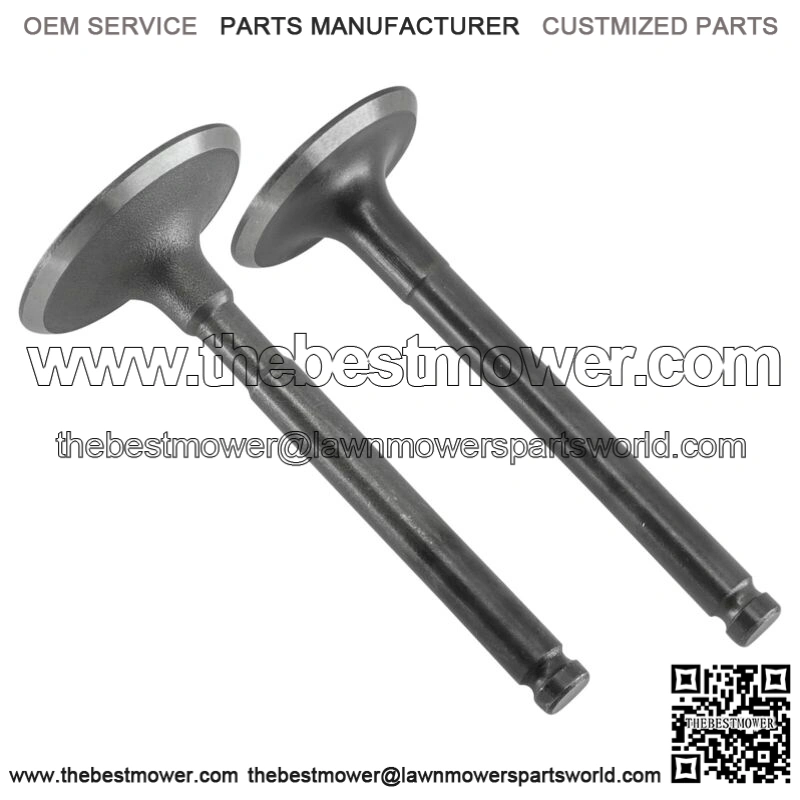 Exhaust & Intake Valve For John Deere M120241 M150551 M120264 12004-2116 NEW