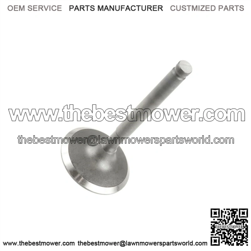 Intake Valve fits John Deere 425 445 455 M150465 M118843 Intake Valve