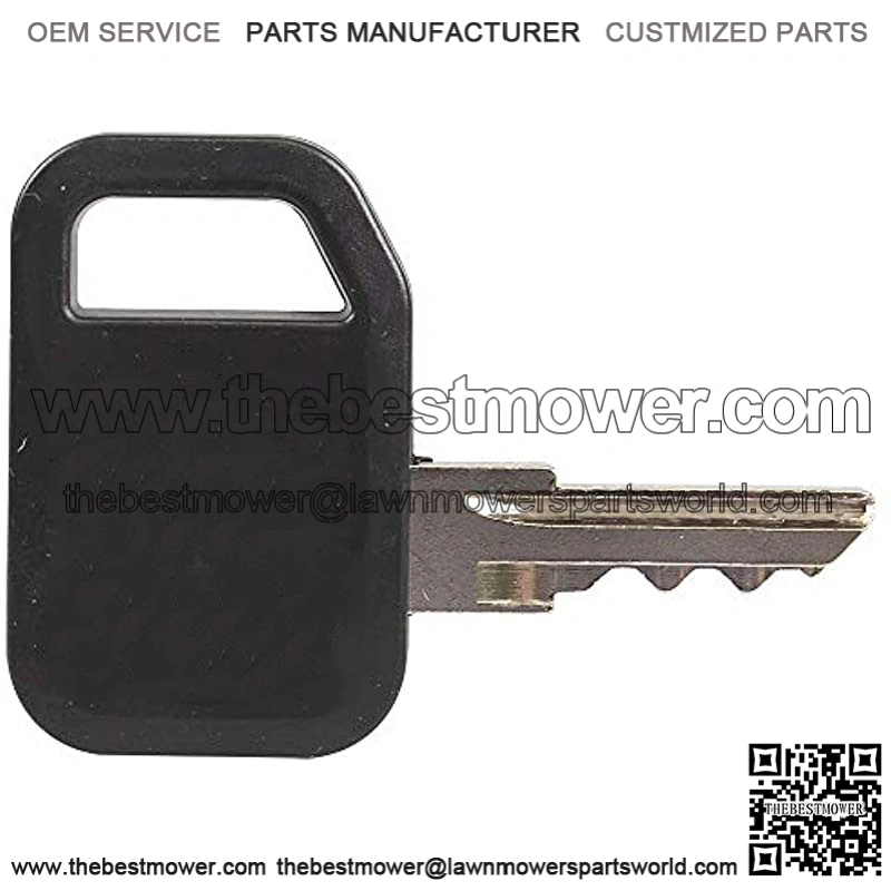Ignition Key- AM131841