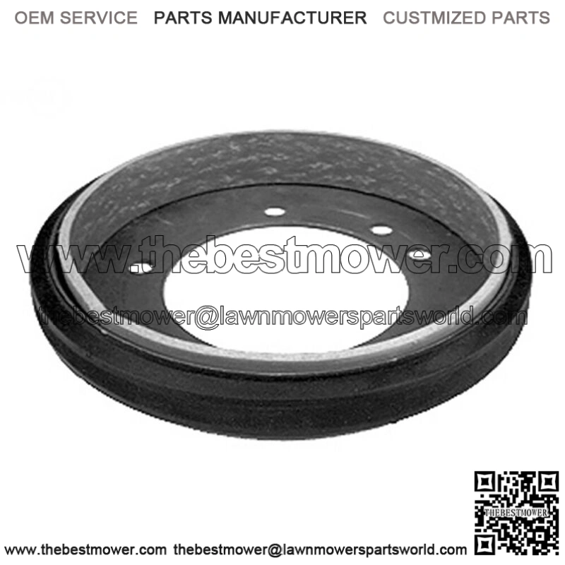 Drive Disc Friction Ring w/ Brake Liner Kit Murray 53103 7053103 7057423 57423